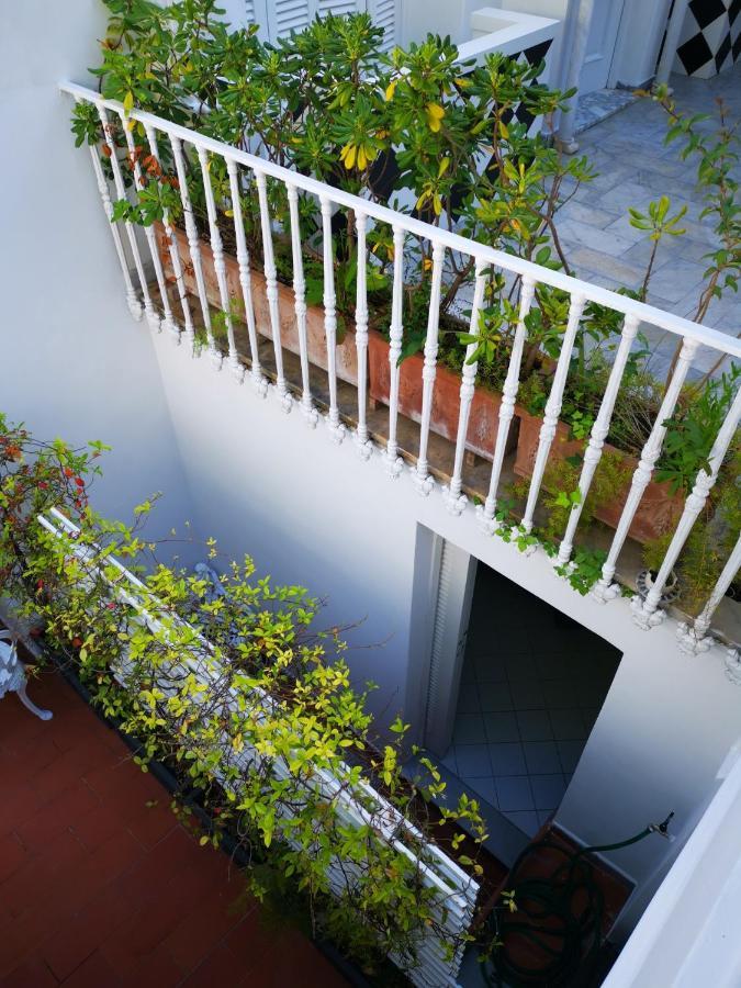 Affittacamere Muta House