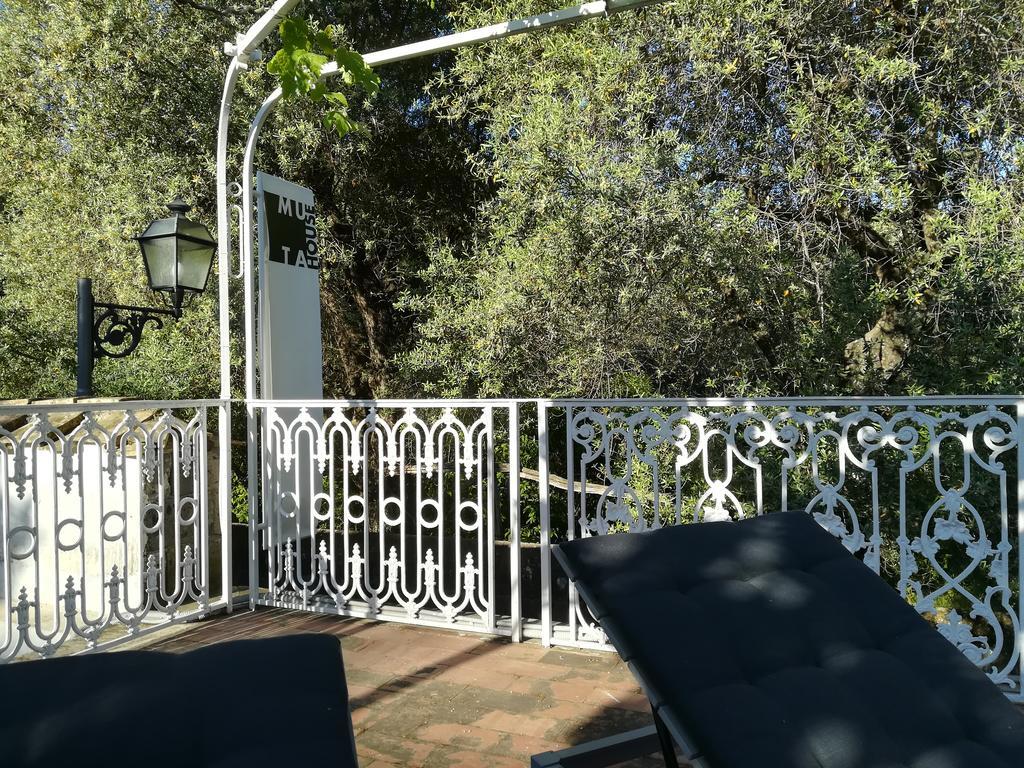 Affittacamere Muta House Sorrento